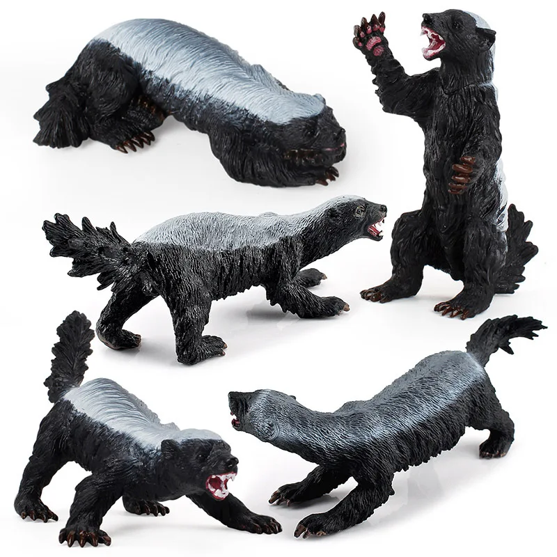 Simulation Wildlife Animals Honey Badger Figurine Action Figure Children's Educational Cognitive Model Toy Ornament Kids Gift