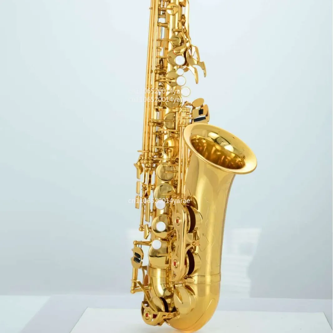 Saxophone Musical Instrument E Flat Alto Wind Instrument Beginner Entry Level Tutorial Chromatic Brass