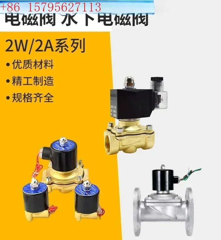 2W200-20 Normally Closed 2W250-25 Electromagnetic Water Valve 2W400-40 Pipeline On/Off Valve 6 Inches 1 Inch 2W160-15