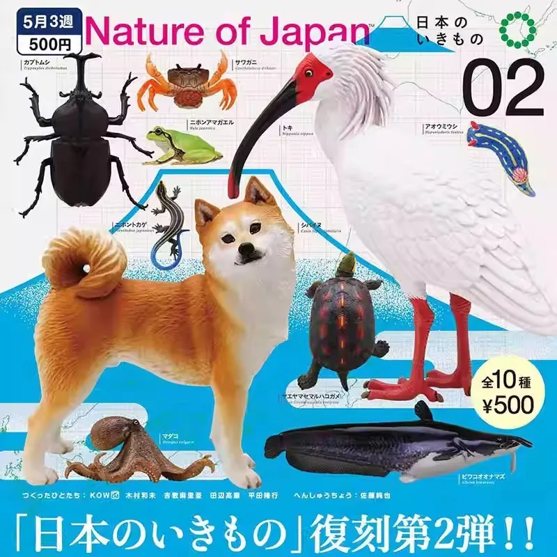 

Brand New KITAN Natural Animal P2 Biological Ornaments Hand Model Ornaments Ready in Stock