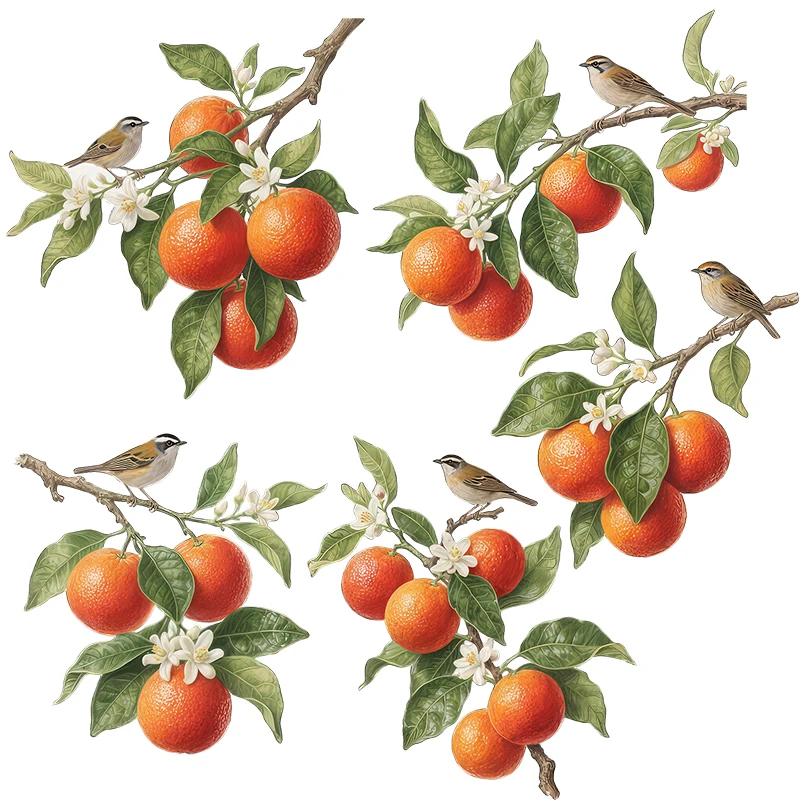 Three Ratels CFN131 Fresh Orange Branch Art Wall Stickers for Home Decoration Shop Window decals
