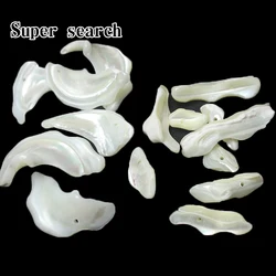 Fashionable White Trochidae Shells Flat Circular Shell Fragments Loose Beads for Necklaces Bracelets DIY Gift Accessories 1-3cm