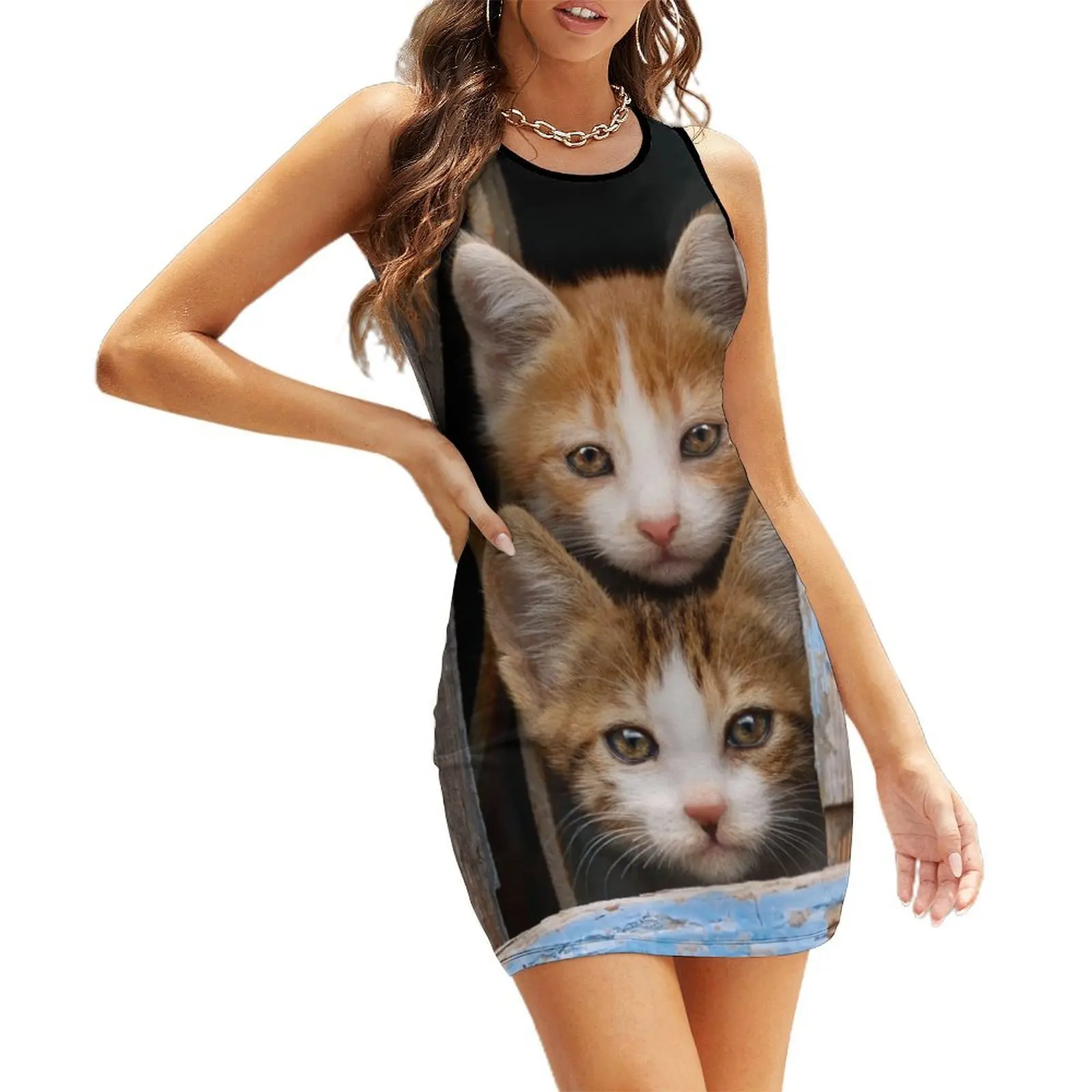 

Cute Cat Kittens in a Blue Vintage Window Sleeveless Sundress Evening dresses dress korean style Beachwear