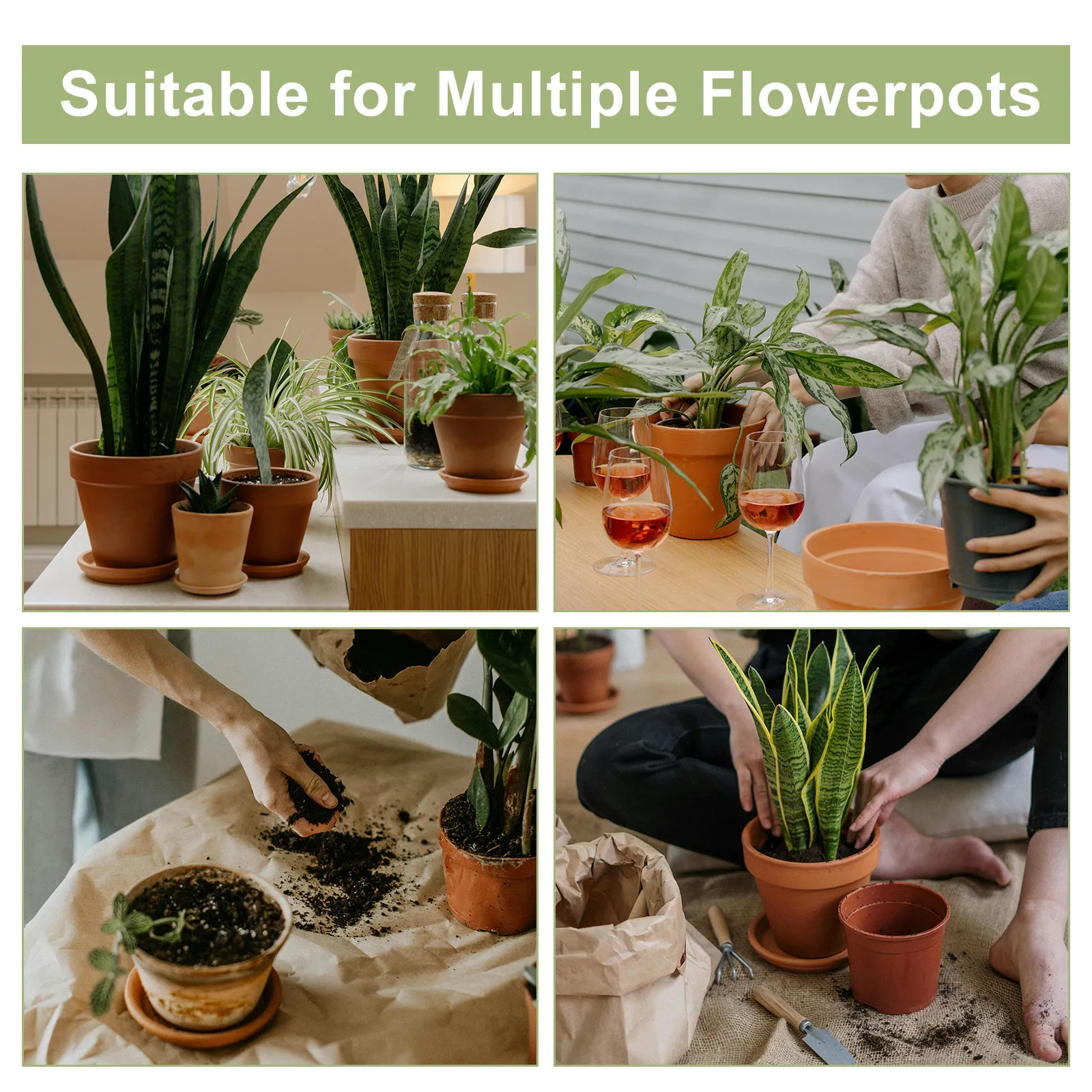 花鉢用の水位計2個セット。植物の水分量を測定し、水やりのタイ - Moisture Meter Plant のレビューと価格