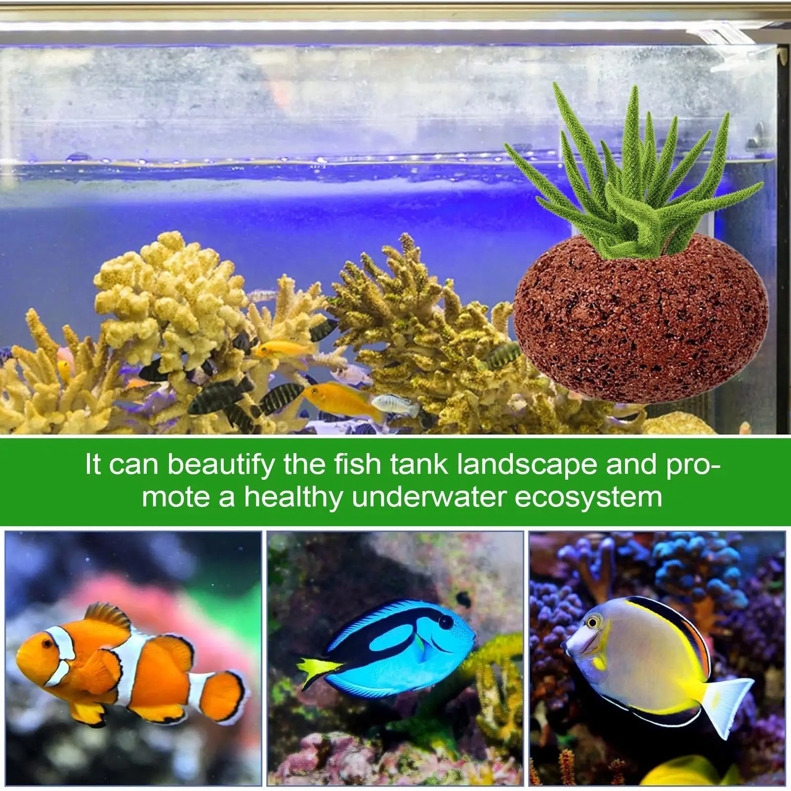 Poids pour plantes d'aquarium, 4 pièces, pierre volcanique Anti-flottant, accessoires pour Aquarium, pour étang à crevettes d'eau douce