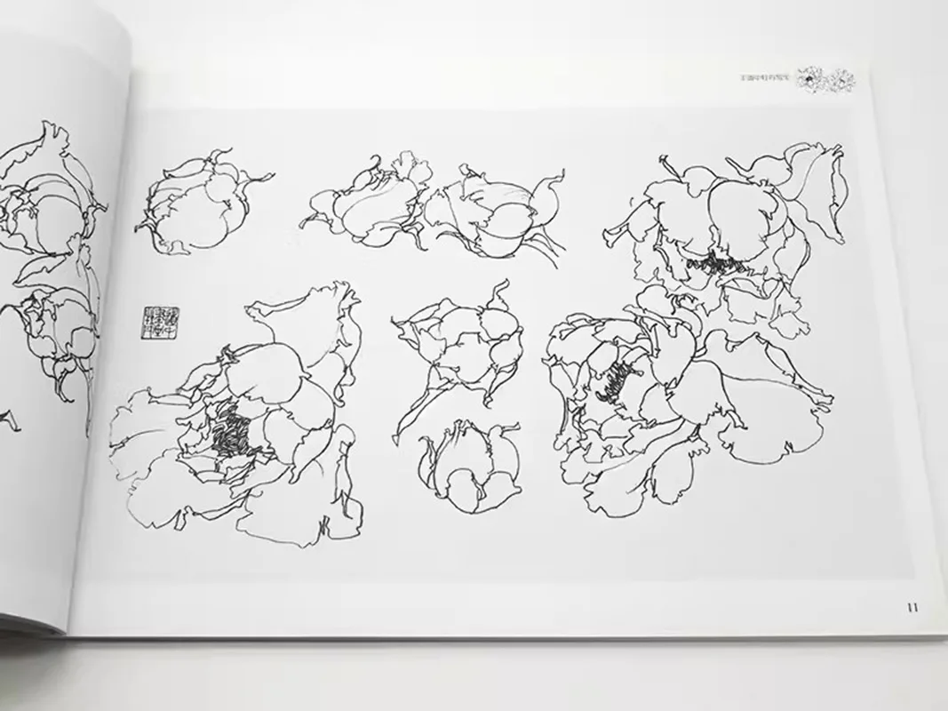 Wang Destroy Ozhong Peony Sketch Ple, Peinture méticuleuse, Copie, Fleurs, Oiseaux, Dessin au trait, Manuscrit, Dessin, Compétences, Tutaple Ple