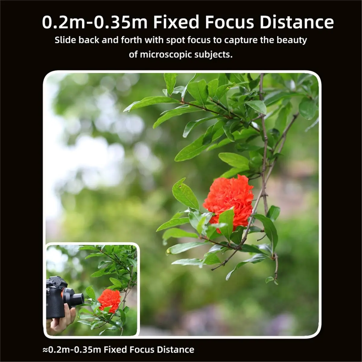newA10R 22mm F/10 Microscope Lens Adapter for E-Mount Macro Lens Cameras Ideal for Photography of Insects and Flowers