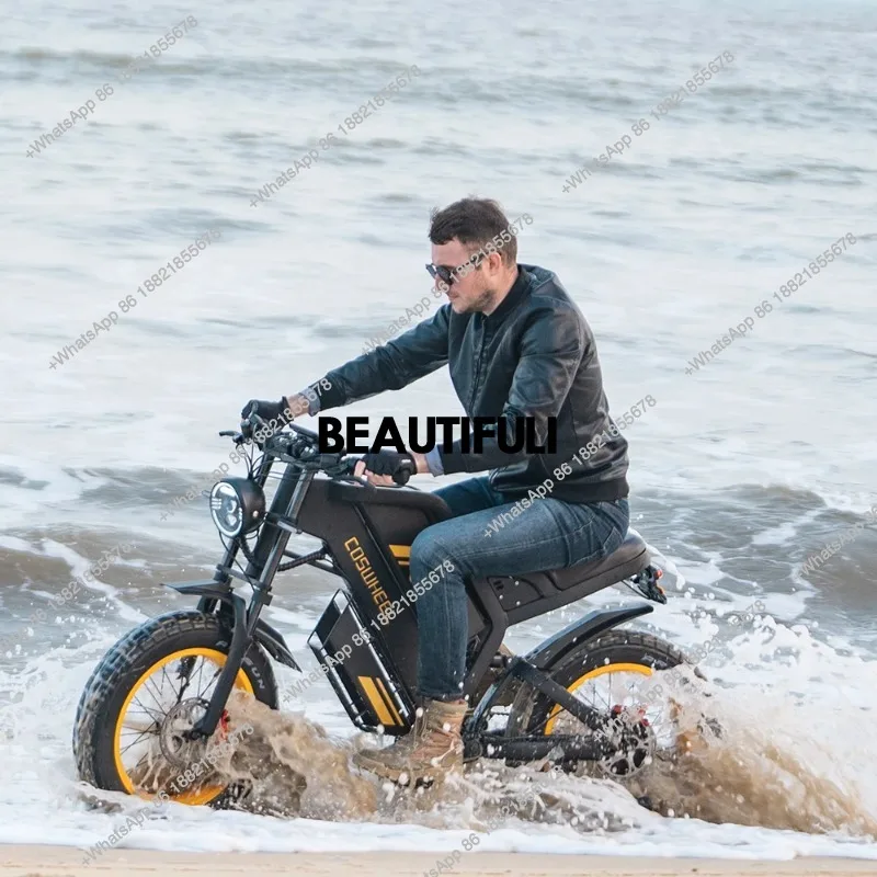 48V 1500W 20 Inches Beach Tire/Snow Tire Aluminium Alloy Frame Double Disc Brake Electric Motorcycle