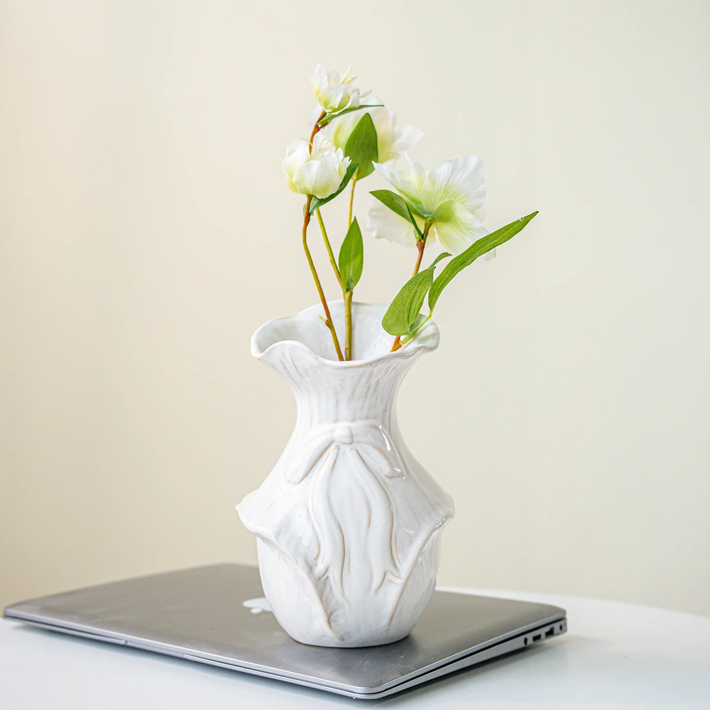 CAPIRON Retro Nordic Keramisch - Pampas Grass Decor recensie en prijs