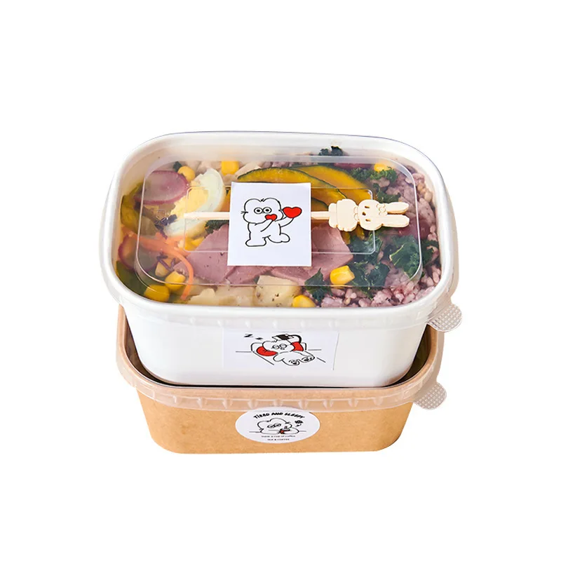 Custom Kraft Paper Camping Picnic Box Fruit Disposable Lunch Box Bento Sushi Paper Box Outdoor Spring Outing Packin