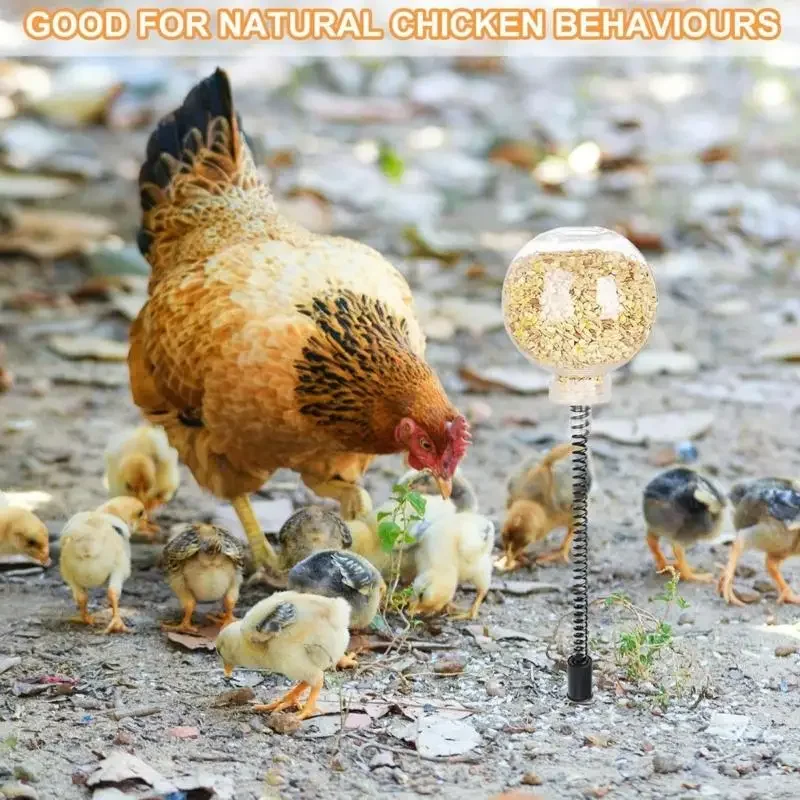 Comederos pollo liberación lenta juguete aves corral activado por fomenta instintos alimentación