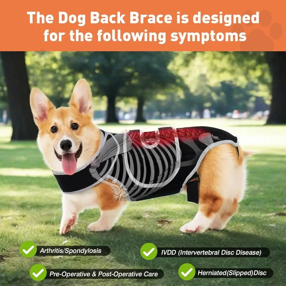 

Dog Back Support Brace – Relieves IVDD,Hip Dysplasia, Arthritis & Spinal Injuries – Spinal Brace Help Back Recovery