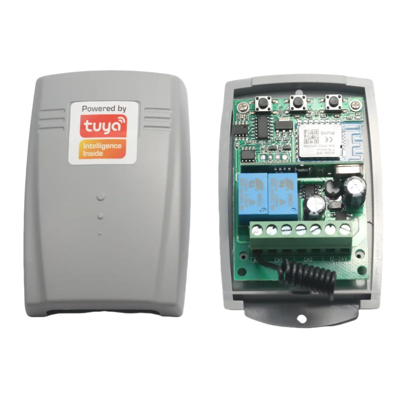1 Buah Pengendali Penerima 2 Saluran WiFi Nirkabel 12V 24V Cocok untuk Pintu Garasi Rana Bergulir Kode Tetap Remote Control Rekreasi