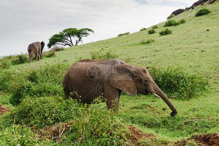 SCY 18101 18103 18101PRO 18103PRO accesorios brazo oscilante inferior delantero piezas de repuesto de coche teledirigido