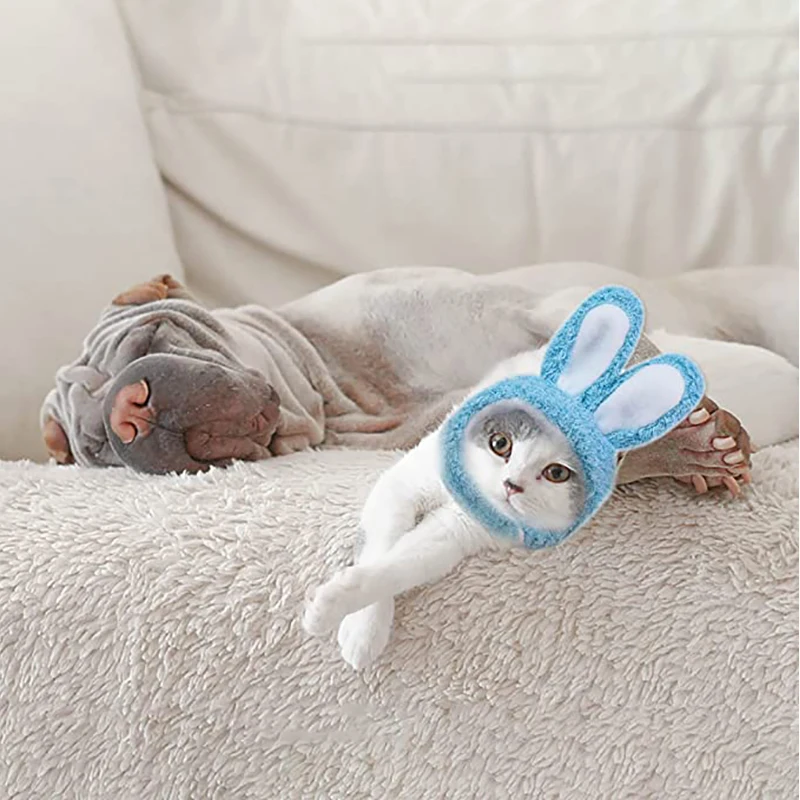 Bonnet à Oreilles de Lapin pour Chats, Équipement de Sauna, Chaud, en Peluche, pour Animaux de Compagnie, Accessoires de Cosplay de Noël, PhotoProp, Fournitures