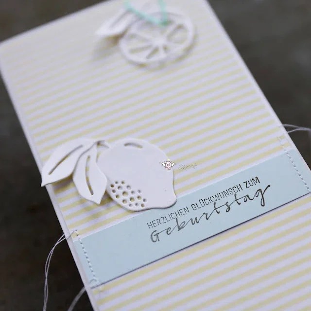 Piggy Craft Metal C…