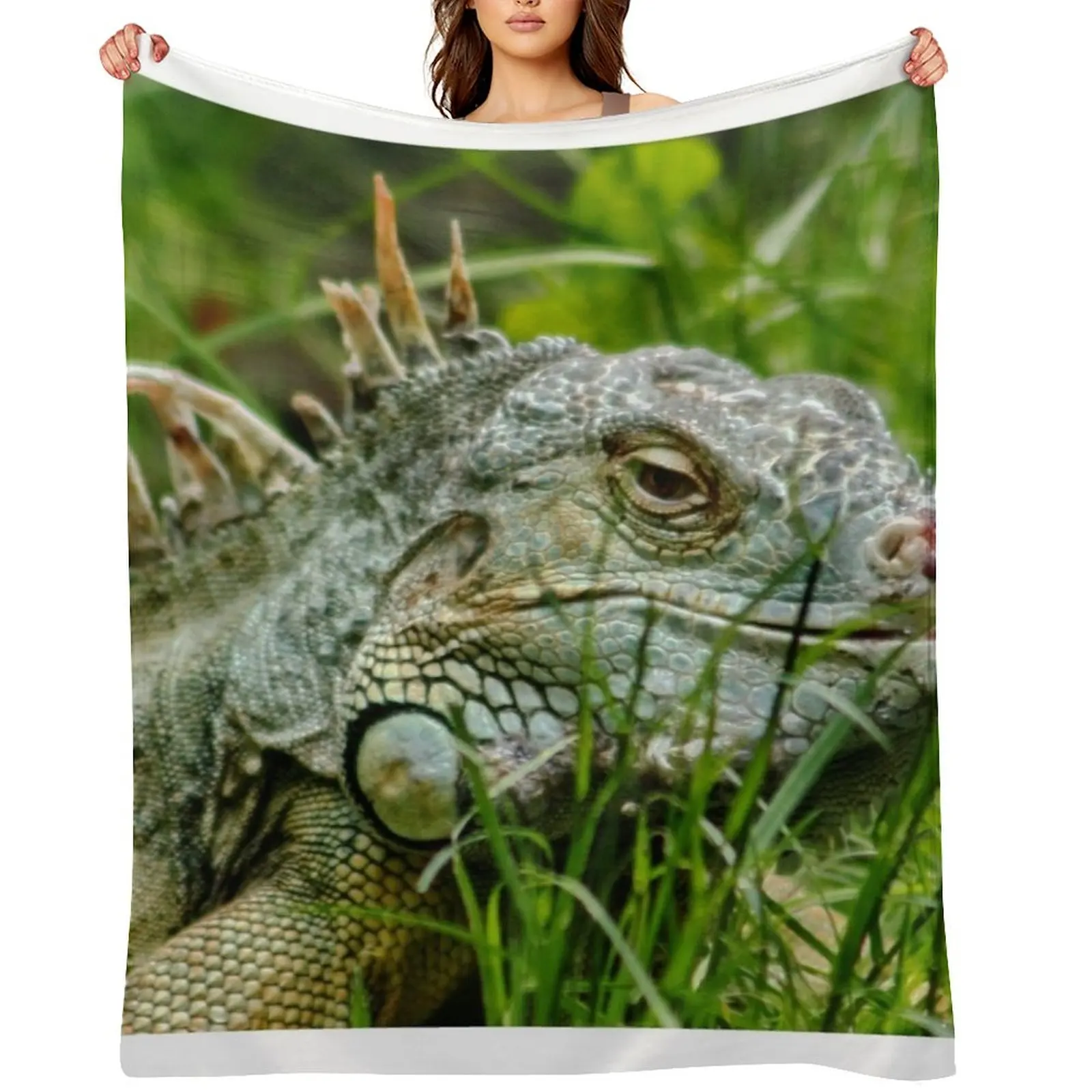 

Iggy the Iguana Throw Blanket Blankets For Bed Moving Bed decorative Blankets