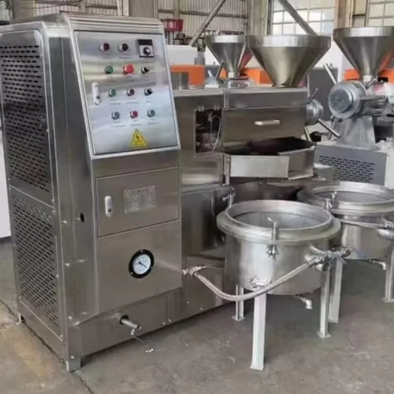 Custom Small Screw Cold Oil Press Machine With Oil Filter,Starter Business Commercial Grade Oil Pressing Equipment