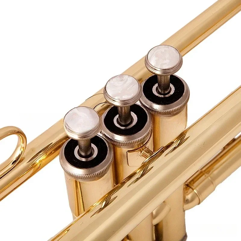 Source Trumpet musical instruments, three-tone trumpet in B flat, beginner playing exam band teaching Western musical