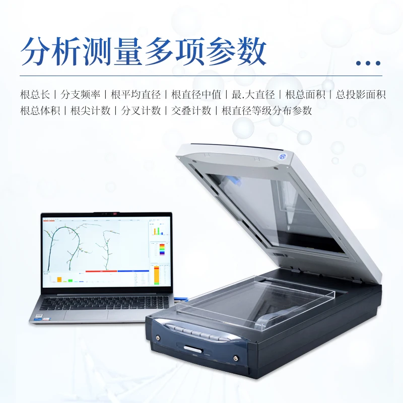 Picture 3: Plant root image scanning root tip morphology pattern quantity detection tree determination portable