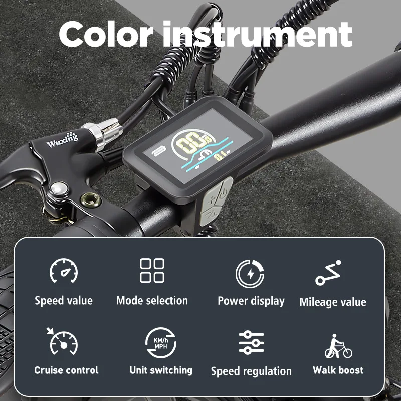 Overseas warehouse electric bicycle snowmobile RX20 new delivery bicycle shock absorption mountain bike rough tire ebike