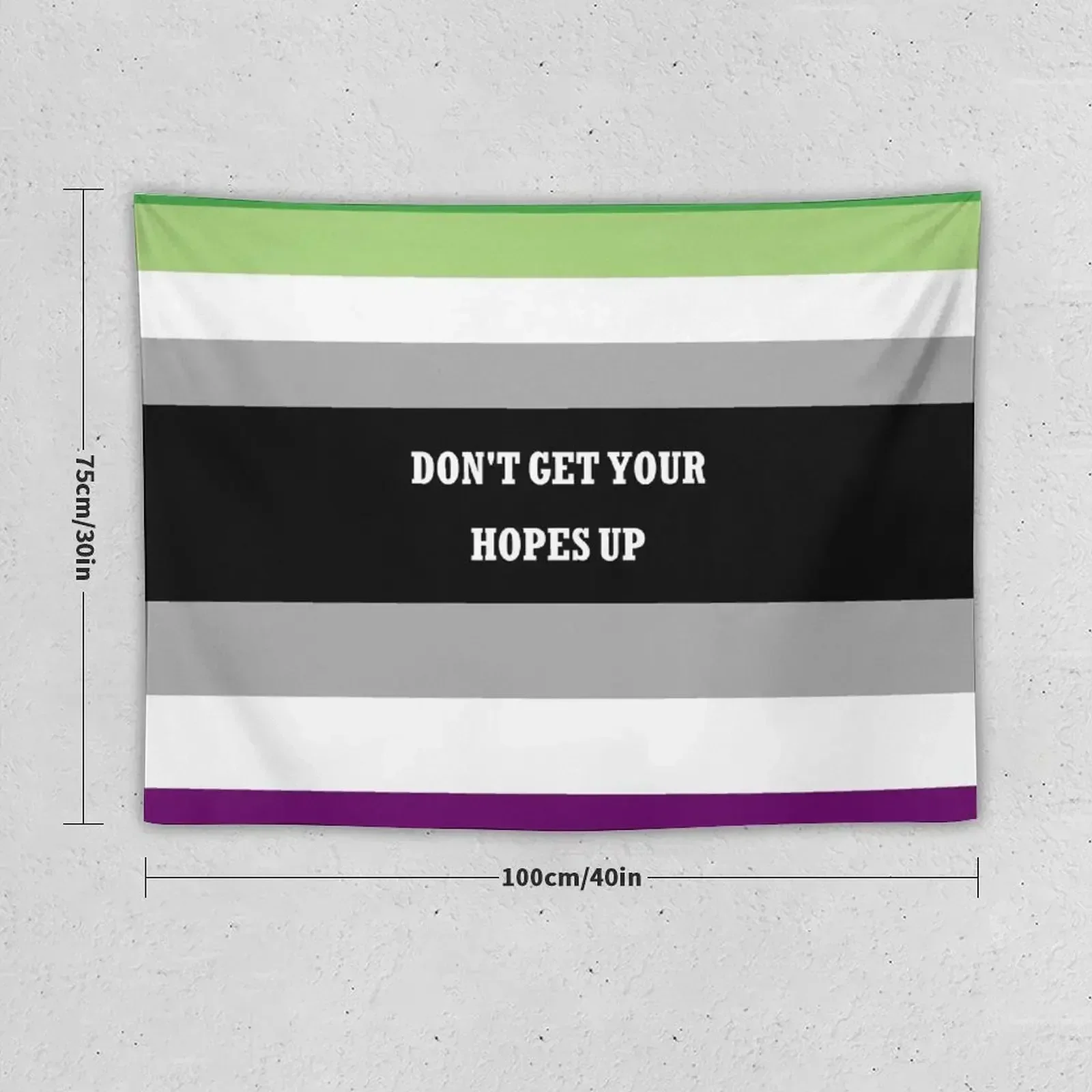 Don't get your hopes up AroAce Flag Tapestry Aesthetic Room Decor Outdoor Decor House Decoration Wall Decoration Tapestry