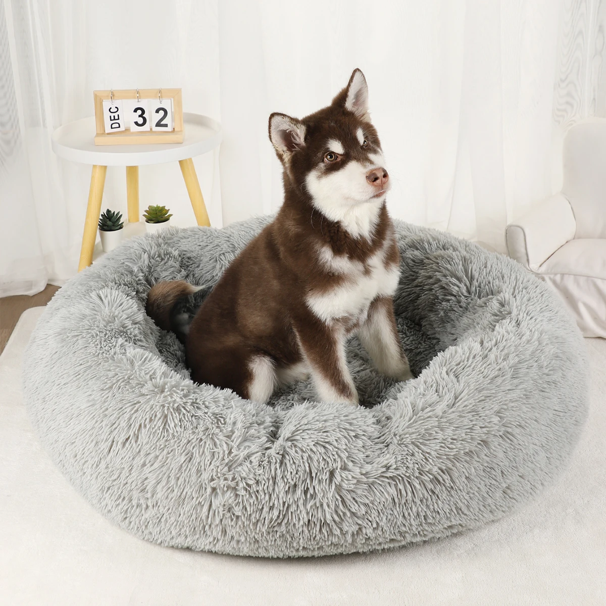 Thumbnail 2 - #22 Latest Puppy Beds Offers