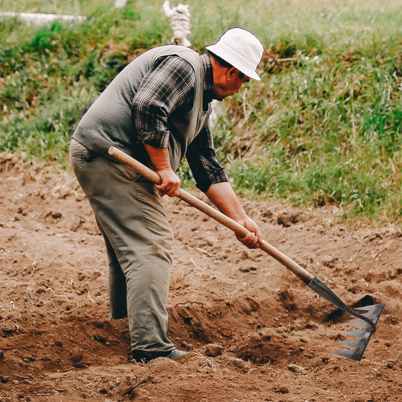 

6-Tooth Heavy Duty Farm Rake Carbon Steel Garden Tool for Soil Loosening Lawn Leveling Cultivating Landscaping Rake Garden Grass