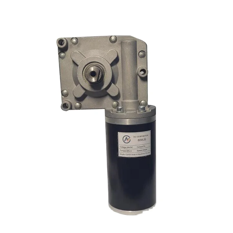 

Low Speed High Torque Wheel Chair 200W Dc Gear Motor Electric Motor with Reduction Gear