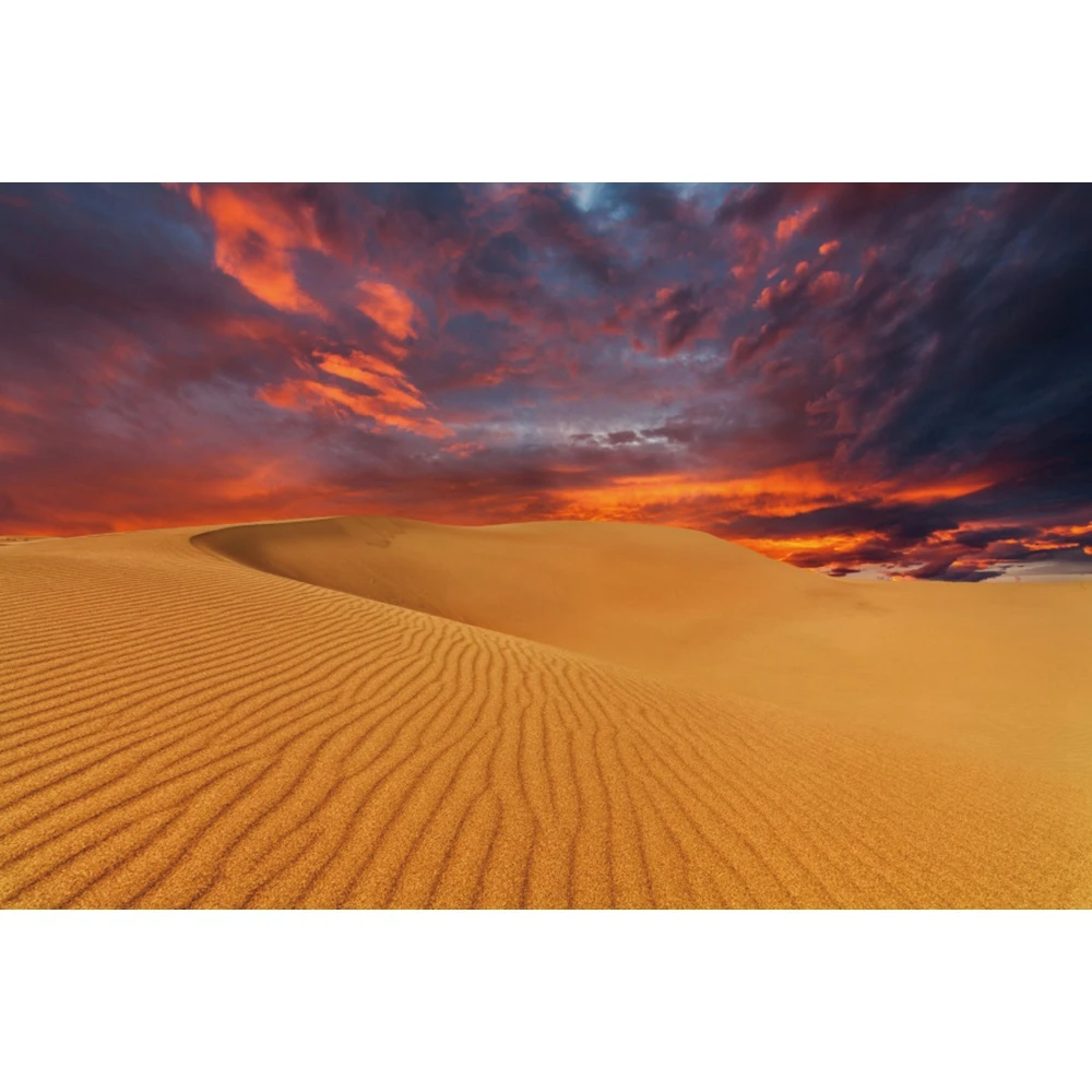 Africa Desert Backdrop for Photography Egyptian Pyramid Desert Sand Dunes Sunset Natural Scenic Travel Portrait Photo Background