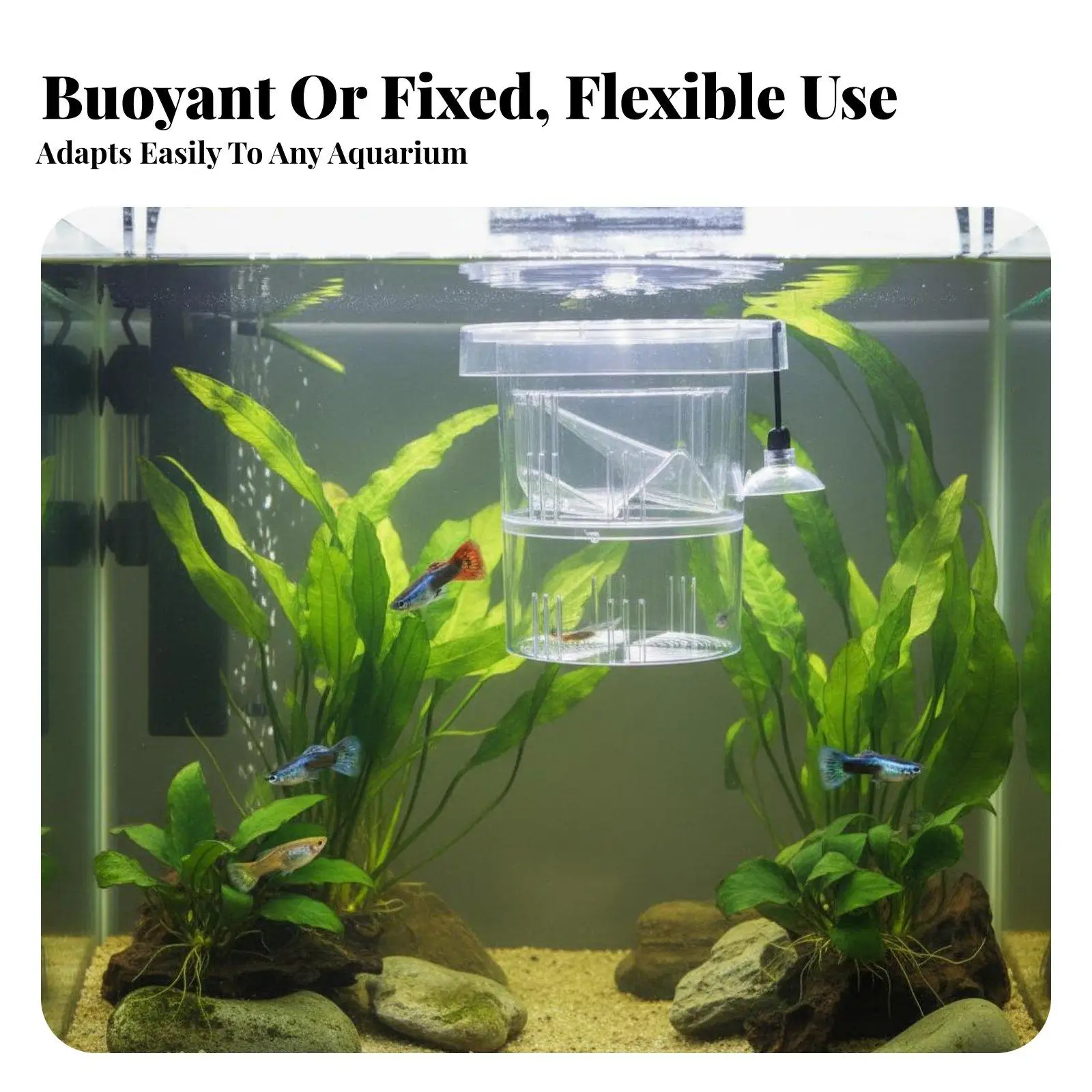 Multifunctional Acrylic Fish Breeding Box Aquarium Hatchery for Fry Separation and Isolation Tank for Betta