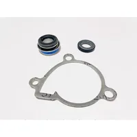 Junta de sellos de bomba de agua Original para LONCIN VOGE YF300 300R 300RR 300AC 300GY 300DS 300 Rally