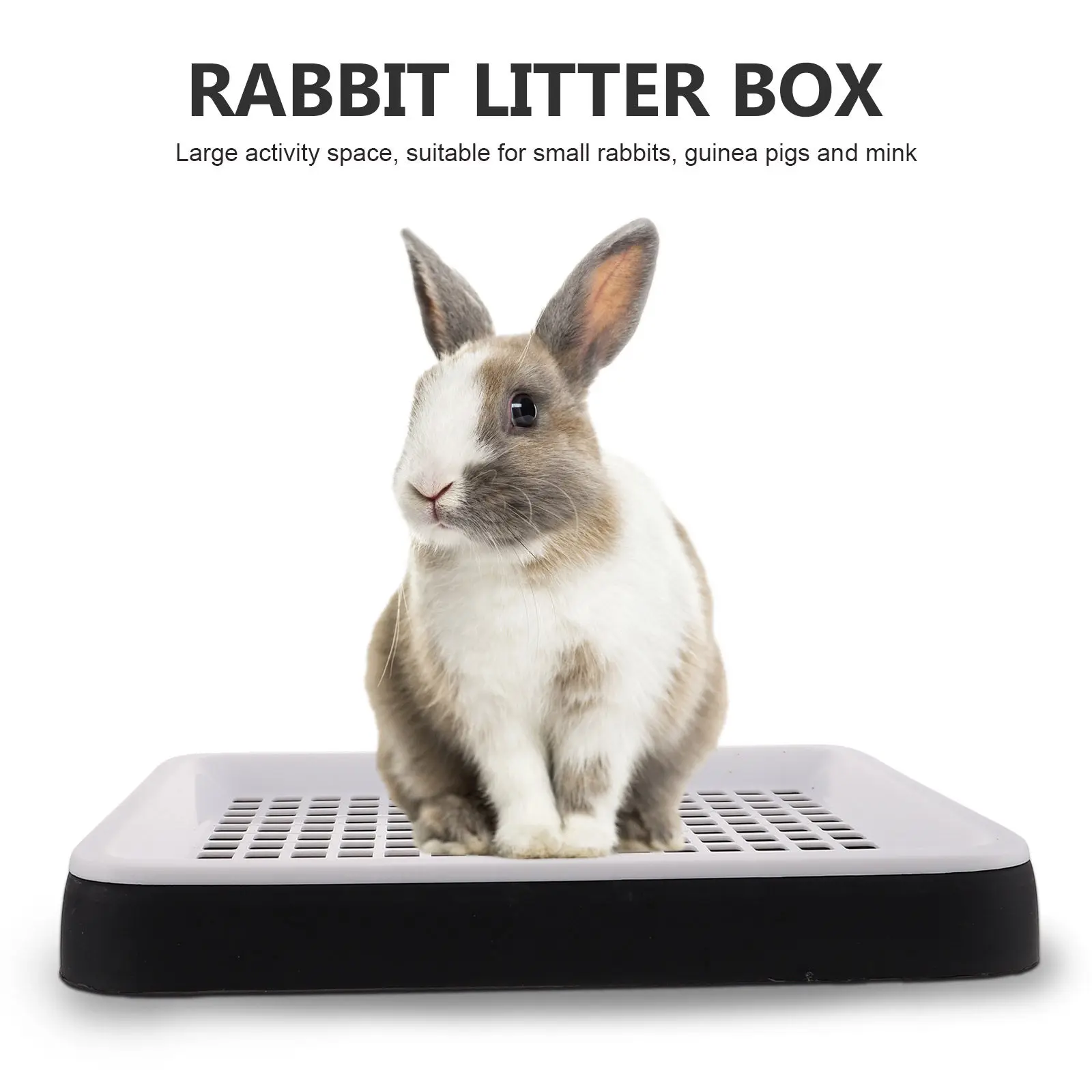 Thumbnail 3 - #33 Small Animal Bedding Discount Picks