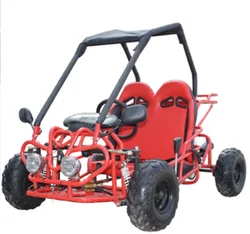 110cc Adult Gas Powered Dune Buggy Go Karts With CE (G7-03)