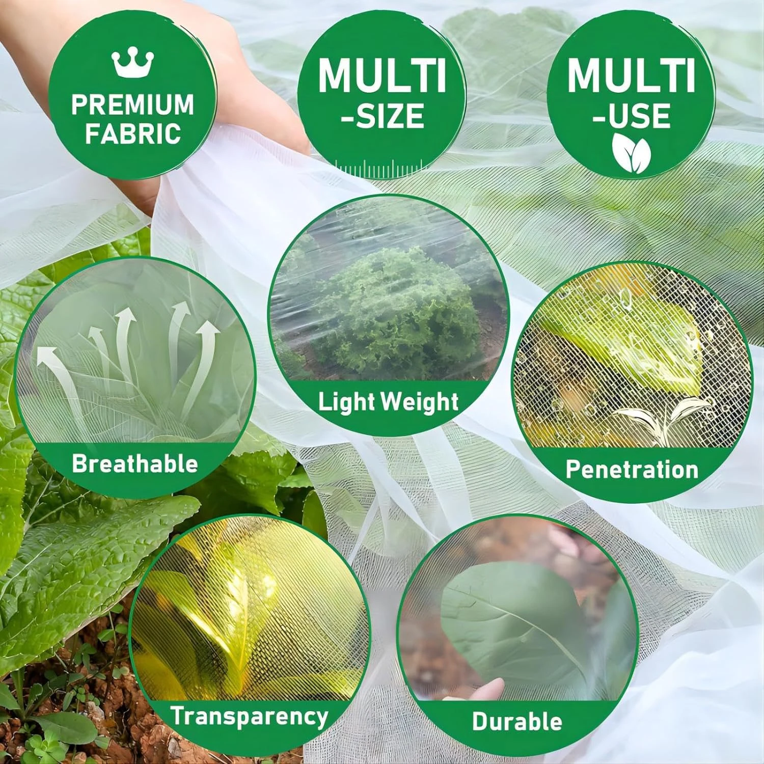 Thumbnail 4 - #4 Low Cost Pest Control That Work