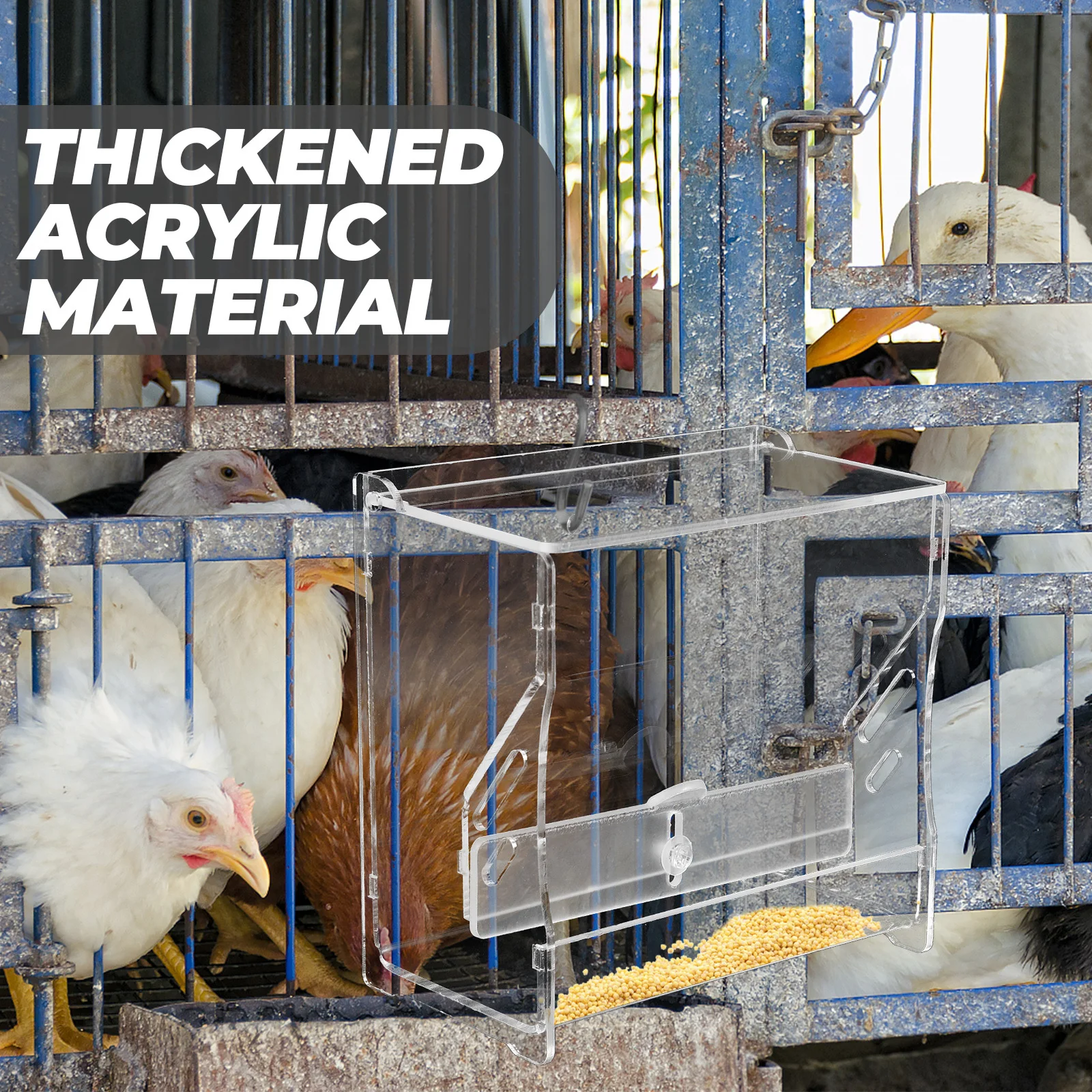 

Automatic Chicken Feeder Acrylic Transparent For Rutin Chicken Parrot Poultry Durable Food Feeding Box Bowl Container Tool