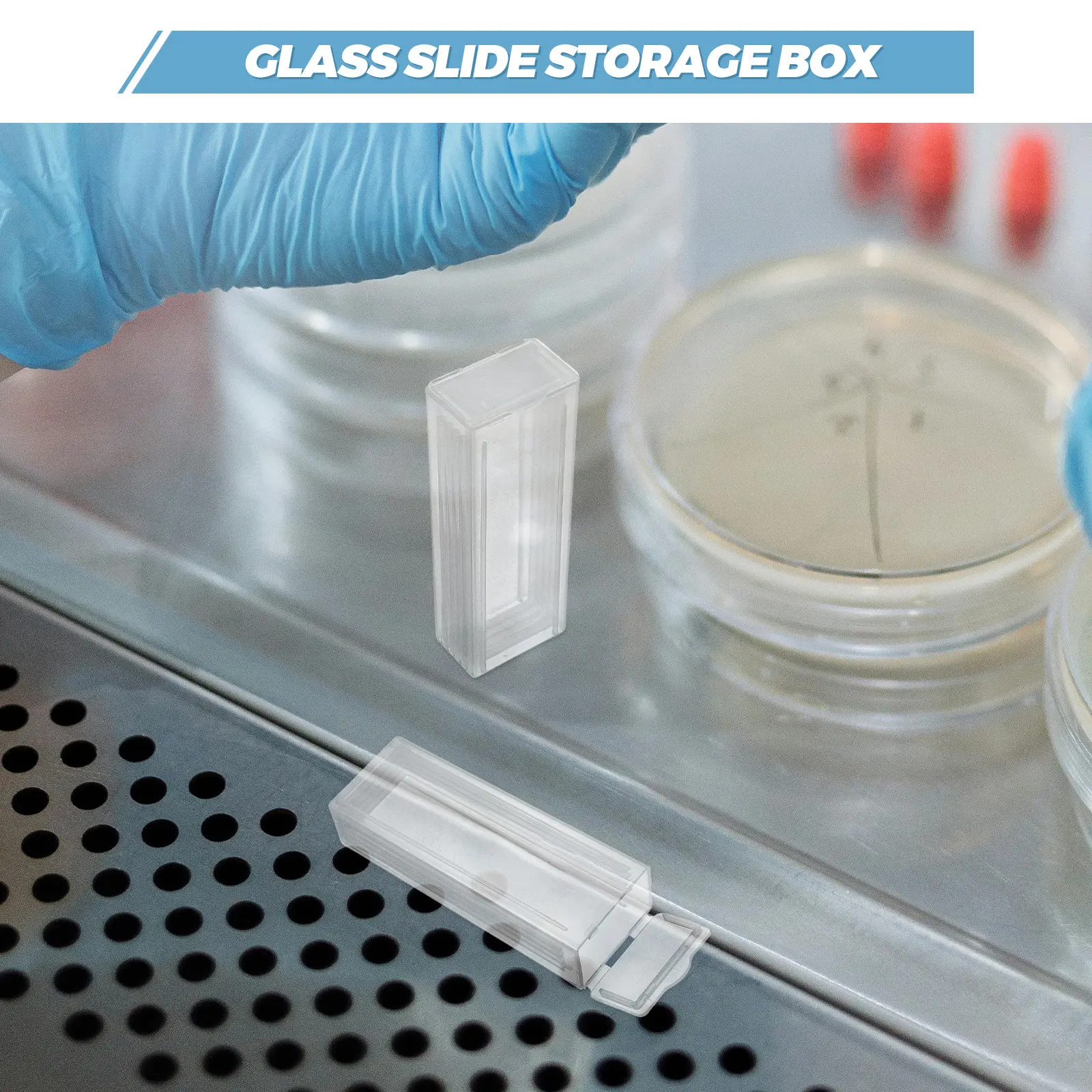 10Pcs Microscope Slide Storage Box Clear Plastic Rectangle Slide Organizer for Lab Hospital Use Staining Slides Container
