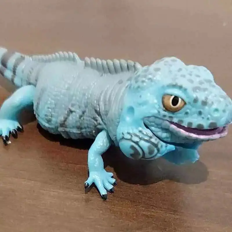 بانداي غاشابون خريطة بيولوجية كبيرة أبو بريص سحلية الأزرق اللسان جلود محاكاة المنقولة الحيوان عمل نموذج لجسم اللعب