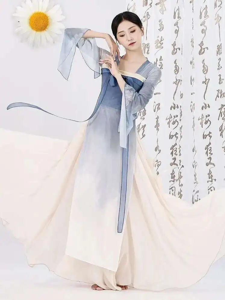 

Chinese Classical Dance Costumes Martial Arts Costumes Elegant Gauze Top Long Chinese Dance Performance Dress