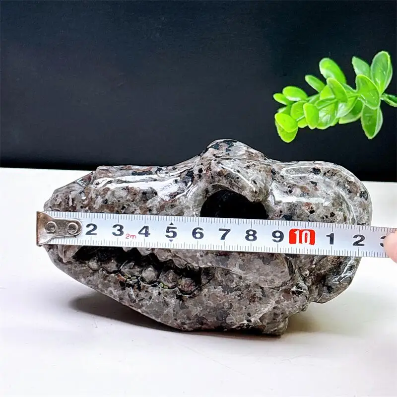 Natural Yooperlite Dinosaur Skull Carving Sculpture Healing Stone Crystal Crafts Home Decoration Ornament 1PCS