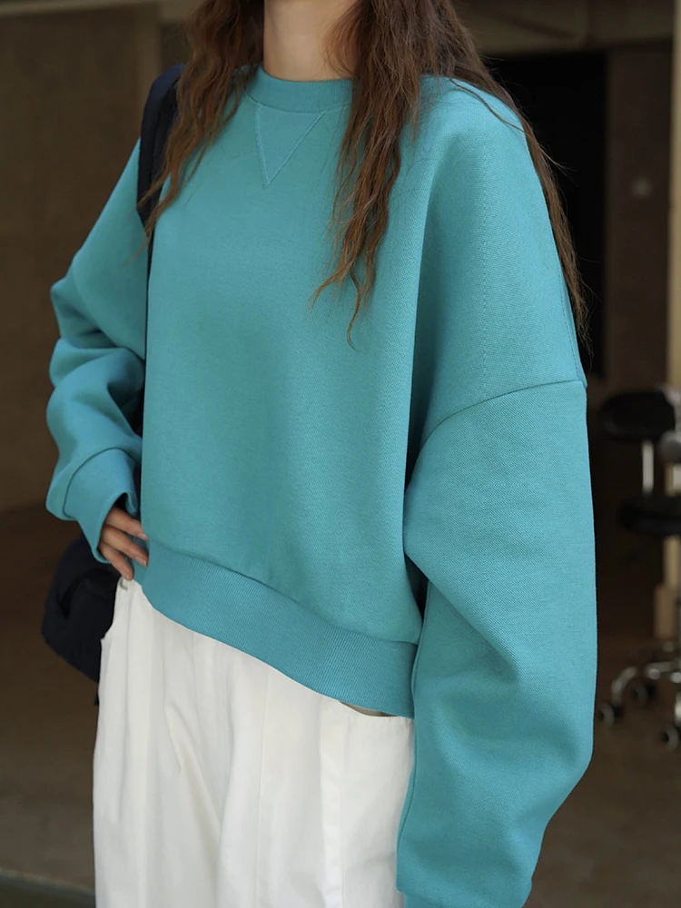 [EAM] Blue Beige Short Casual Sweatshirt New Round Neck Long Sleeve Women Big Size Fashion Tide Spring Autumn 2023  1DH7216