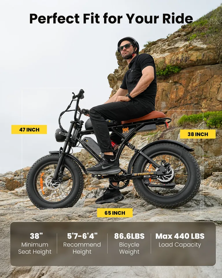 Electric Bike 1000W Fat Tire E Bike Electric Dirt Bike Dual Battery MoutainBike image 2