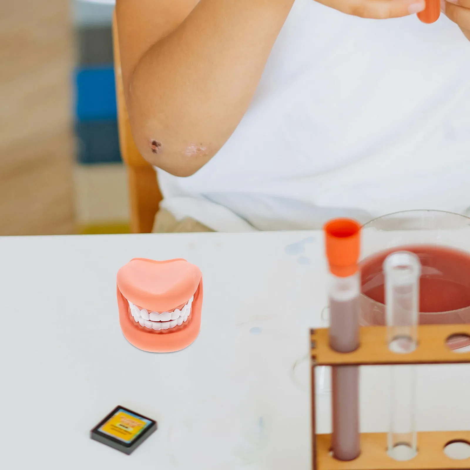 

Учебные зубы для обучения чистке зубов, искусственные зубы, зубы-модели для обучения чистке полости рта