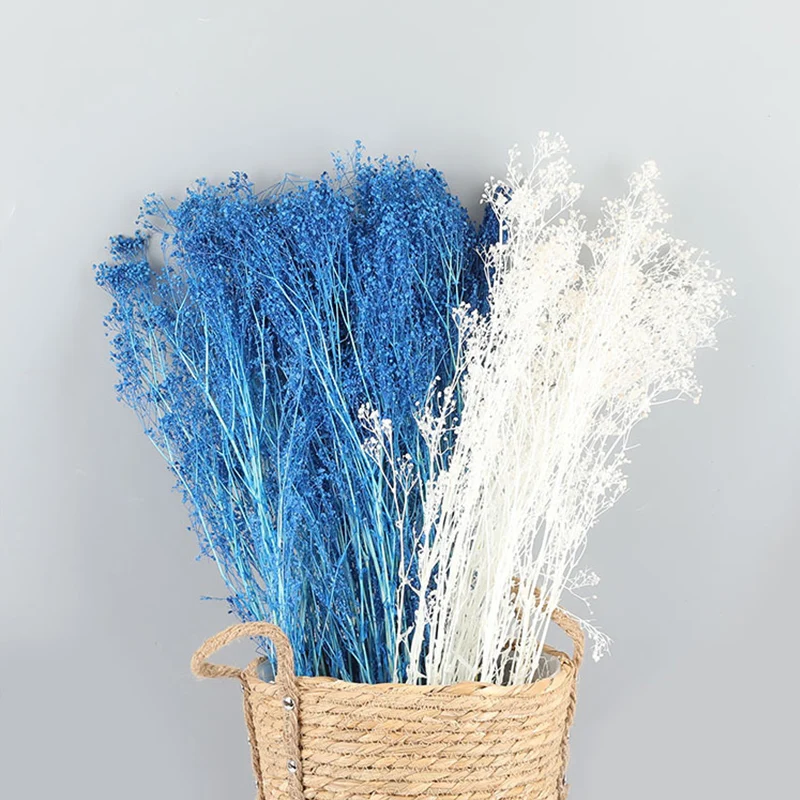 Flores secas preservadas para bebé, ramo de flores de Gypsophile para decoración del hogar