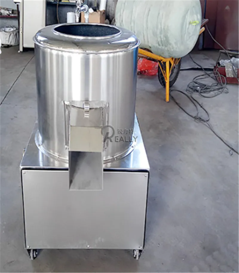 Small Scale Ginger Washing Peeling Machine Kiwi Fruit Sweet Potato Carrot Peeling Machine