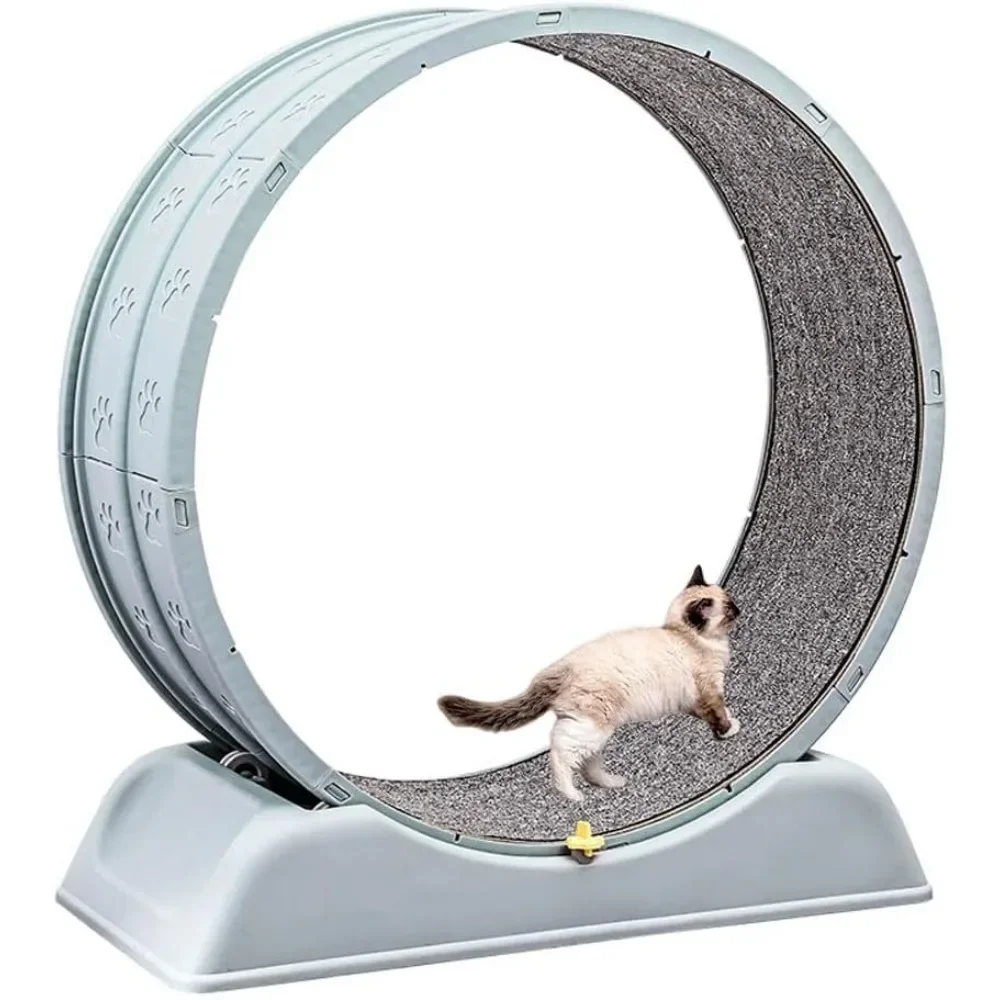 

Cat Circle Runner, Exercise Wheel for Indoor , 31.5" Treadmill with Brake, Running Wheel for Cat's Fitness