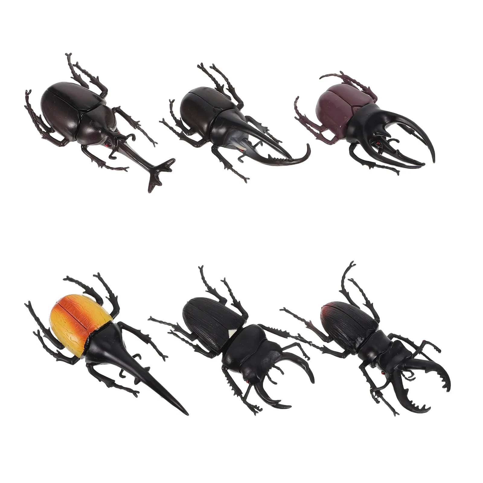 6-figurines-de-scarabees-realistes-anatomie-detaillee-soutient-l'apprentissage-intuitif-materiel-educatif-pour-la-salle-de-classe-de-sciences