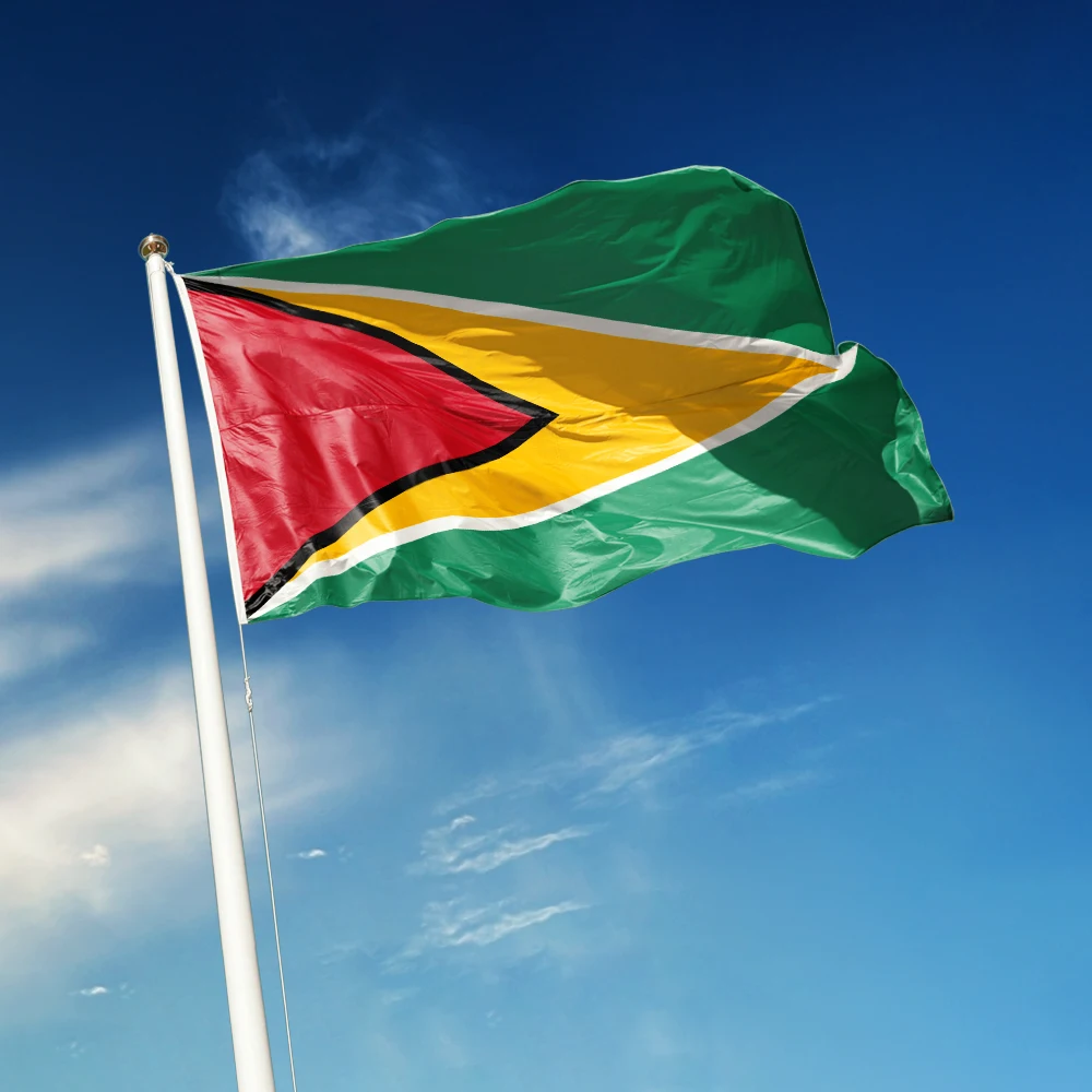2x3Ft Guyana Flag Vivid Color and Fade proof Flags Polyester with Brass Grommets 3 X 5 Ft