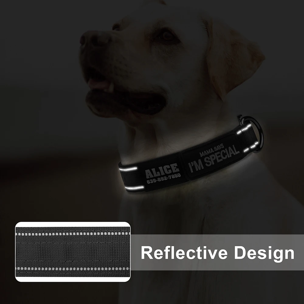 Personalized Tactical Dog Collar Nylon Military Dog Collar Reflective Anti-lost Free Print Dogs Name for Dog Training Hunting view 5