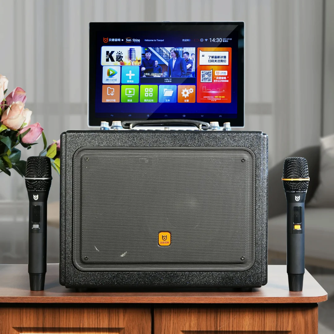 

Wireless Portable Karaoke Speaker With Bluetooth,14.1 Inch Screen High Power Trolley PA System For Outdoor And Indoor Events
